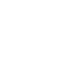 flash chorus business offer